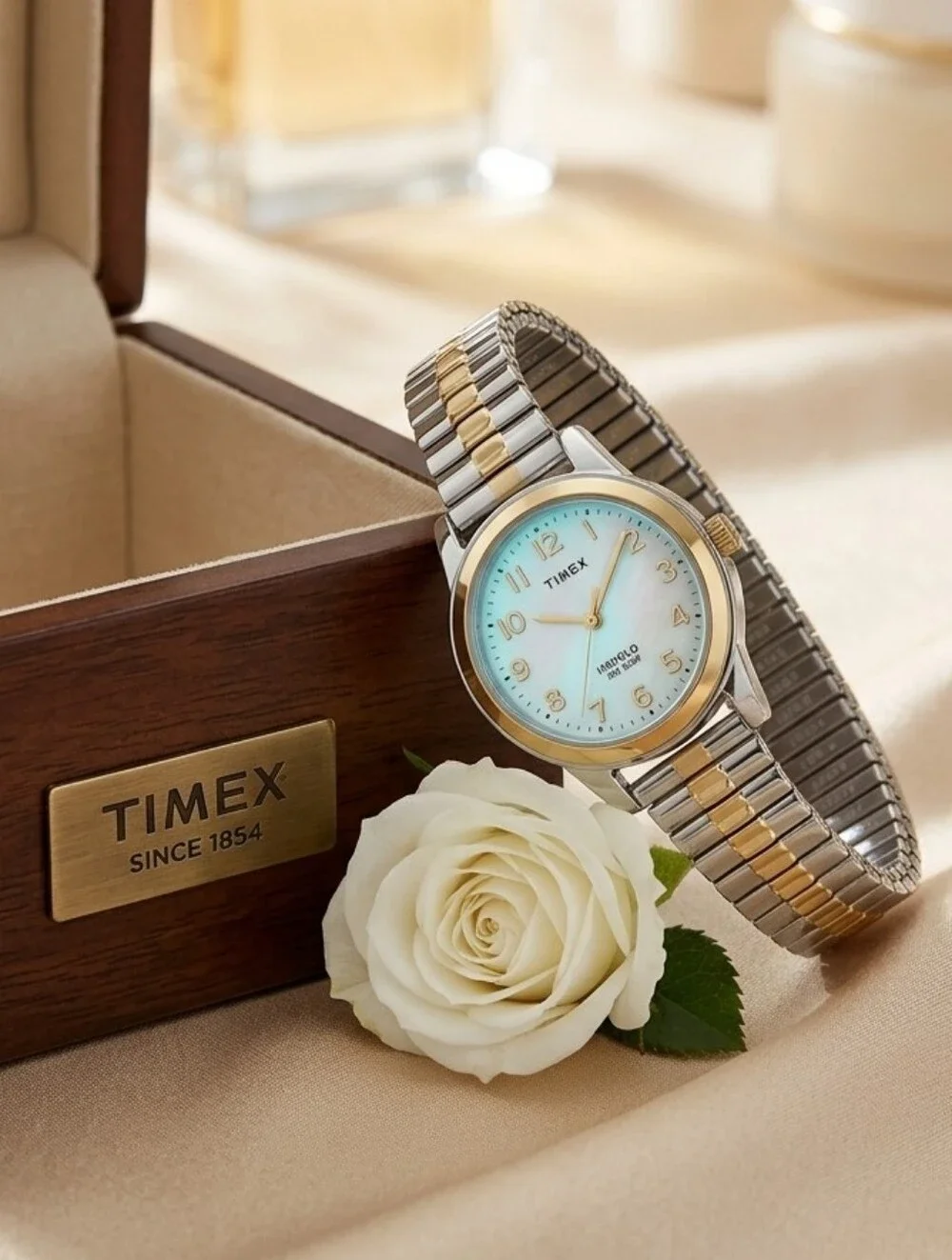 Timex Women's Two-Tone Expansion Band Watch in Gold & Silver T2M828